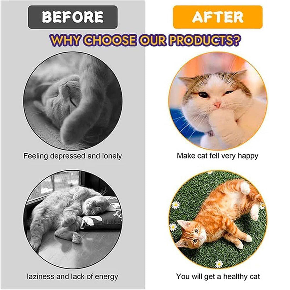 Interactive S-Shaped Cat Tunnel Toy for Indoor Play and Exercise