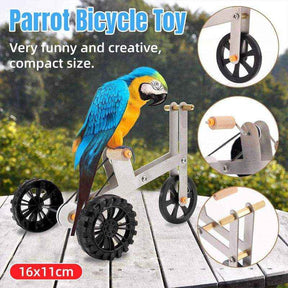 parrot toy bird bicycle for training and play