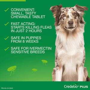 Credelio Plus Chewable Tablets For Extra Large Dogs 22.1-45kg