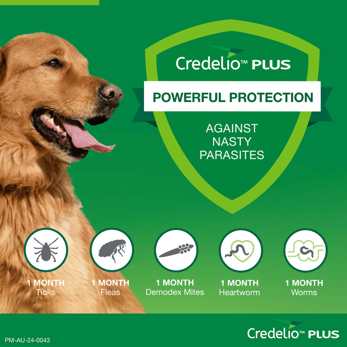 Credelio Plus Chewable Tablets For Extra Large Dogs 22.1-45kg