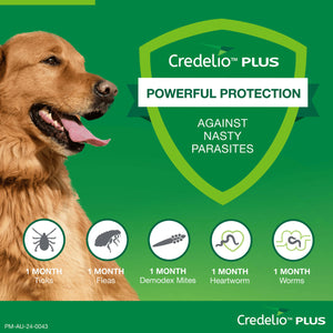 Credelio Plus Chewable Tablets For Extra Large Dogs 22.1-45kg