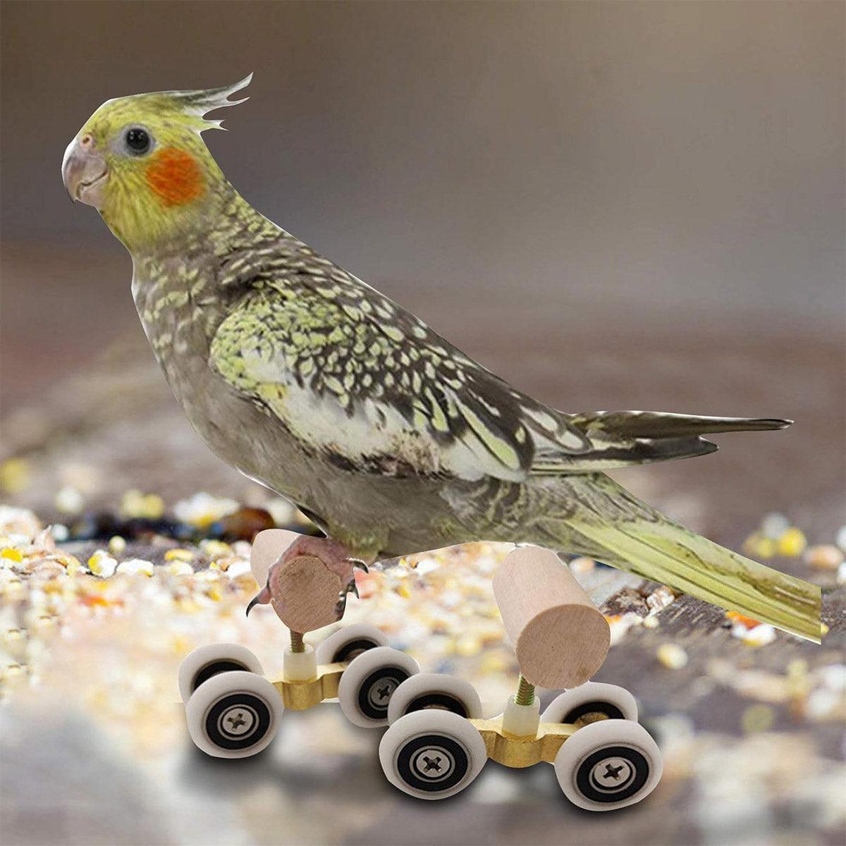 Mini Parrot Roller Skates with Secure Wooden Bird Perches for Training & Play