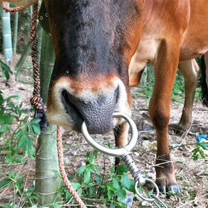 Stainless Steel Cattle Nose Clamp Secure & Durable Farm Handling Tool