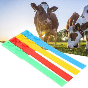 Adjustable Cow Identification Bands – Color-Coded Tags for Livestock Management