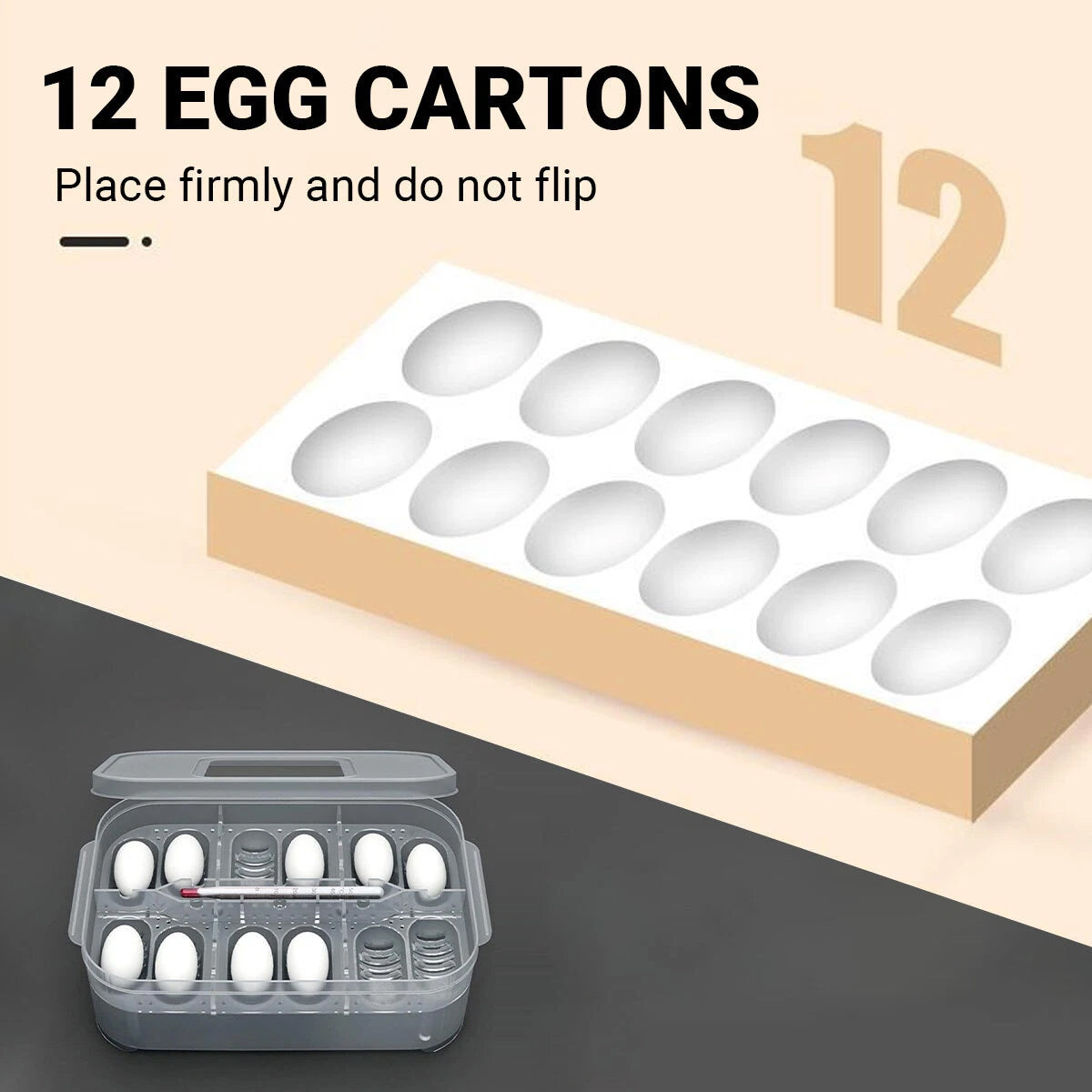 Lizard Hatching Box 12 Holes Reptile Egg Incubator