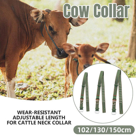Adjustable green cattle collar with metal buckle and D-ring for livestock control
