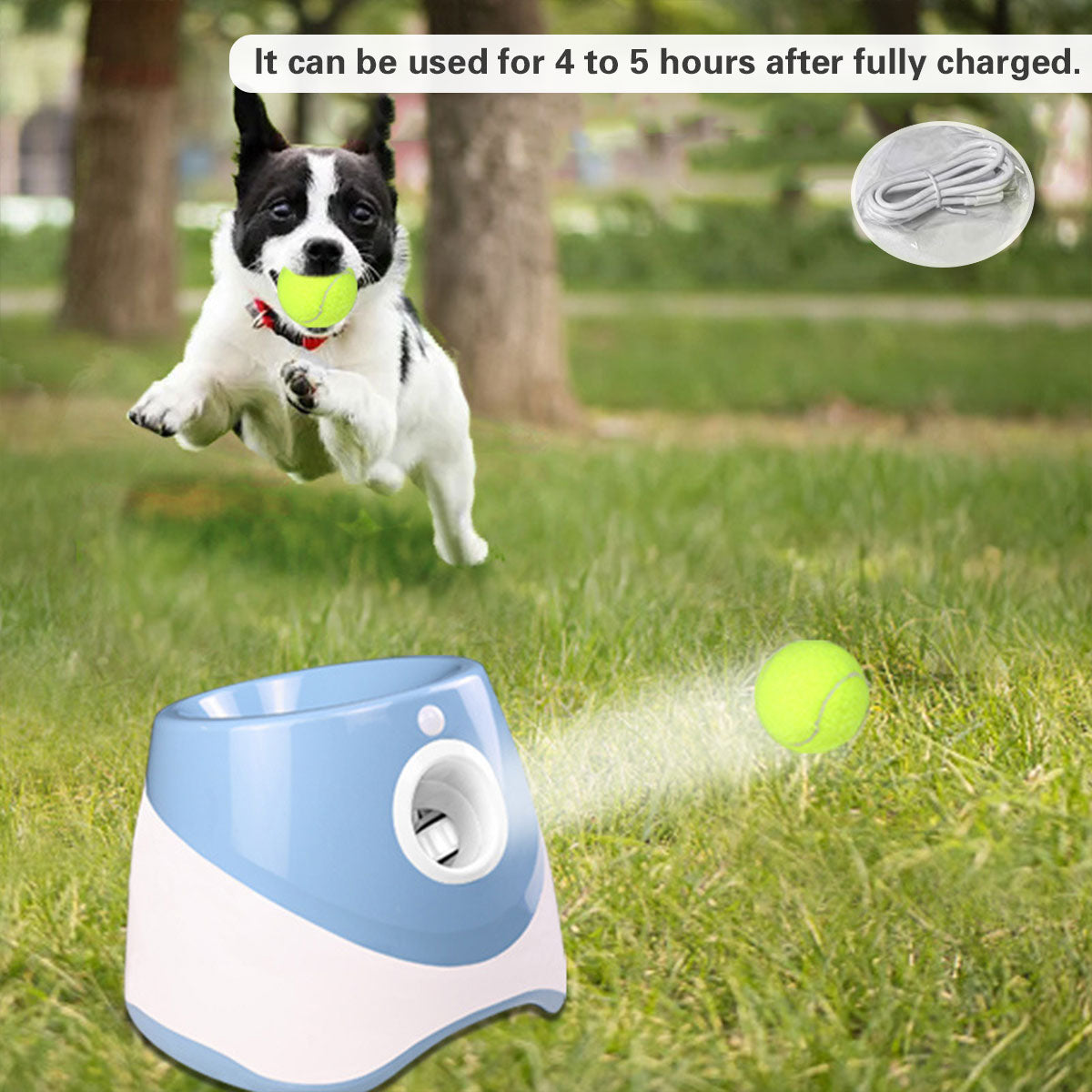 Pet Ball Thrower Outdoor Elastic Tennis Launcher Dog Toy Automatic Ball Machine