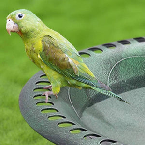 Pedestal Bird Bath for Outdoor Garden | Antique Vintage Style