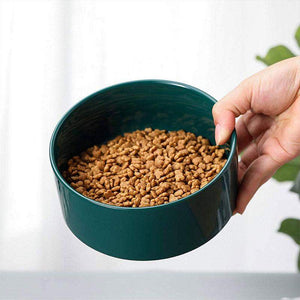 Ceramic Cat Bowl Set Elevated Double Pet Bowls with Bamboo Stand