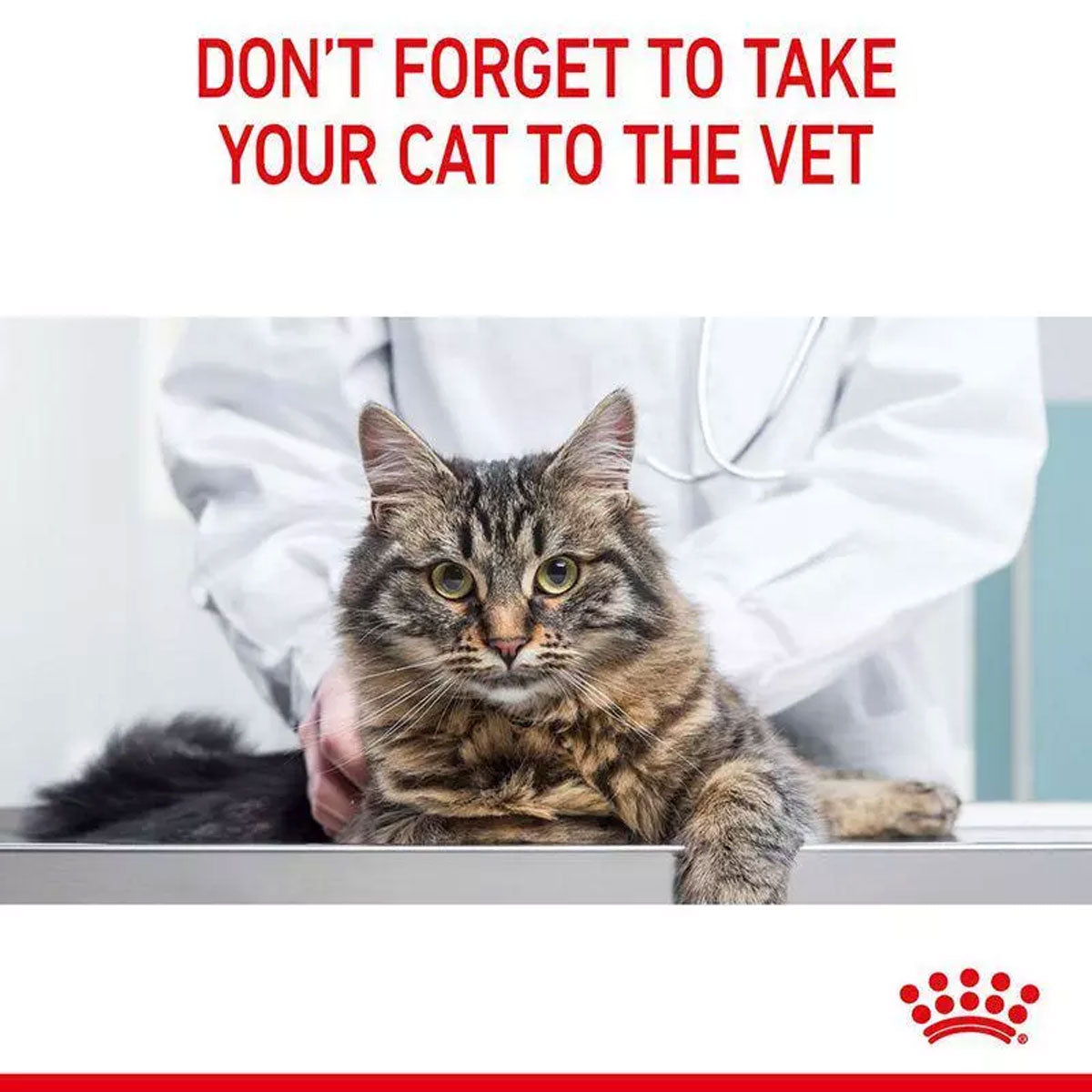 Royal Canin Dental Care Adult Dry Cat Food 400g
