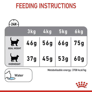 Royal Canin Dental Care Adult Dry Cat Food 400g