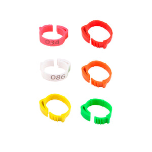 100PCS Adjustable Bird Leg Rings Numbered