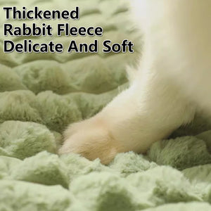 Thick Pet Sleeping Mat With Removable Cover