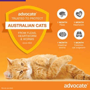 Advocate Spot-On For Cats Over 4kg