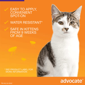 Advocate Spot-On For Cats Over 4kg