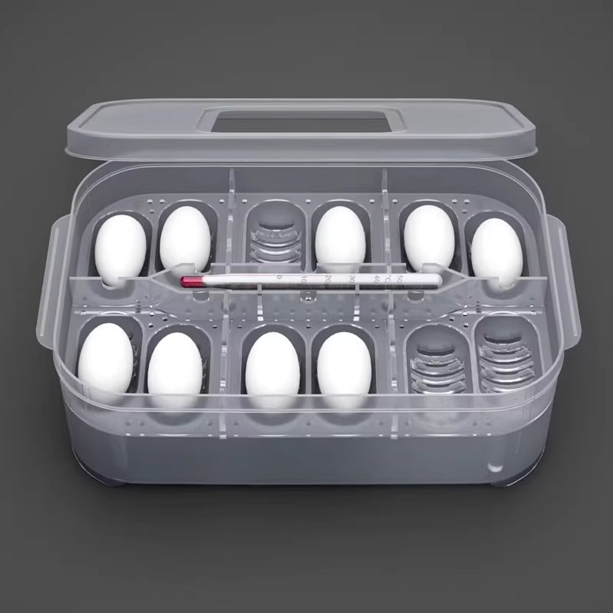 Lizard Hatching Box 12 Holes Reptile Egg Incubator