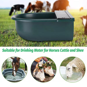 Livestock Water Bowl Cattle Waterer Sheep Horse Drinking Bowl Automatic Feeder