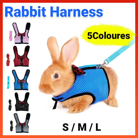 Mesh Rabbit Vest Harness and Leash Set Black
