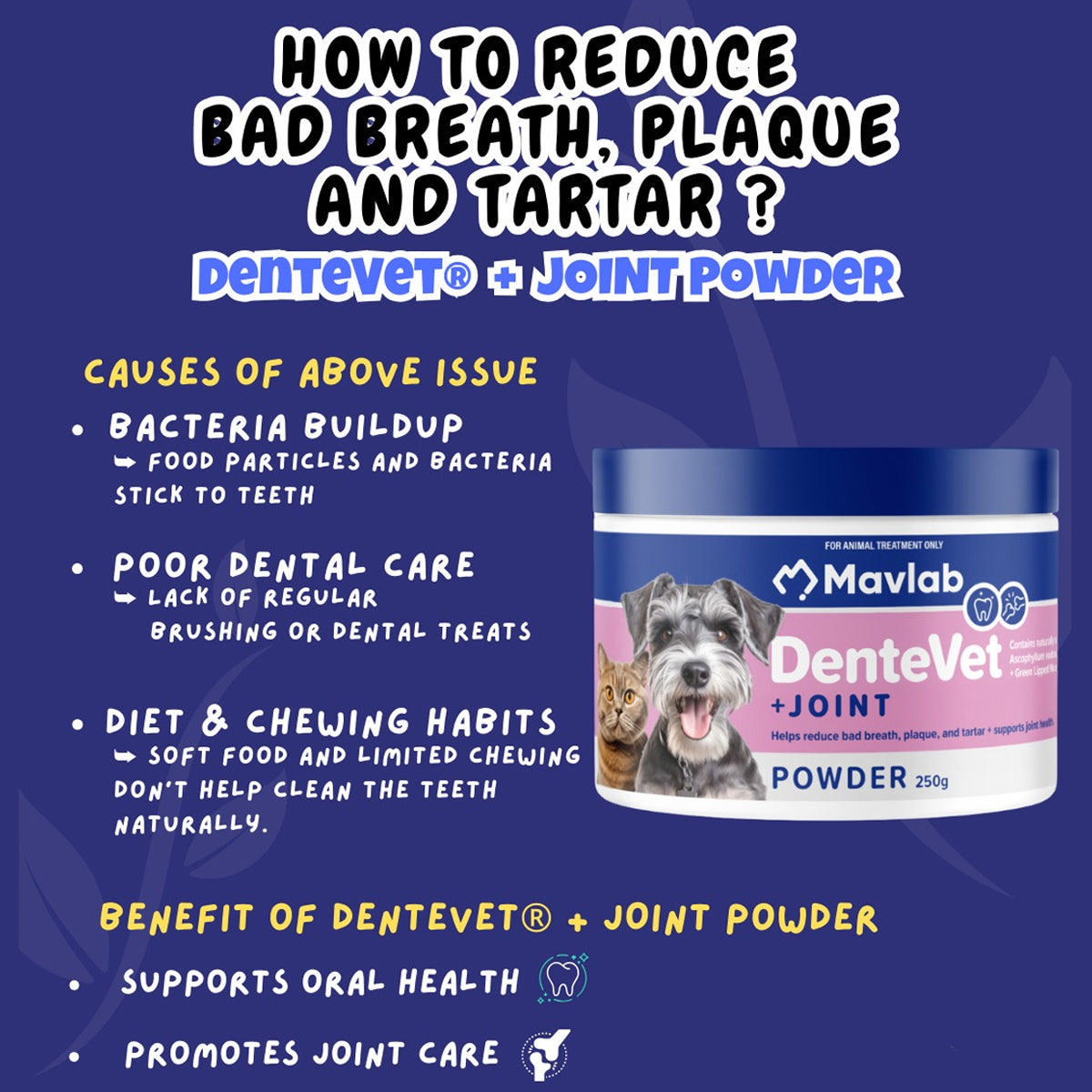 Mavlab DenteVet + Joint Powder – Dental & Joint Support For Pets