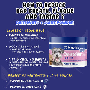 Mavlab DenteVet + Joint Powder – Dental & Joint Support For Pets