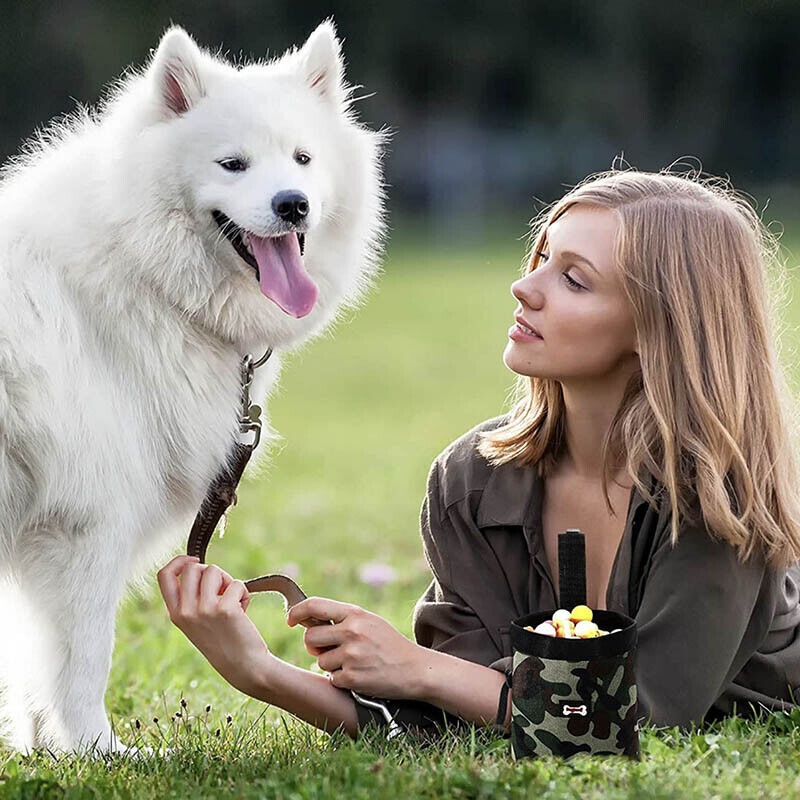 Dog Training Pouch With 2 In 1 Whistle Clicker