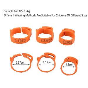 100PCS Adjustable Bird Leg Rings Numbered