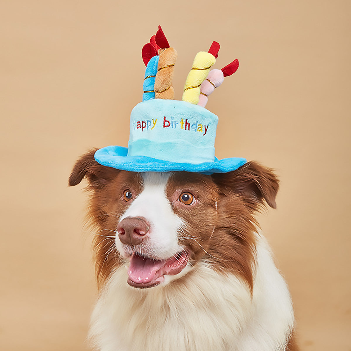 Pet Birthday Hat