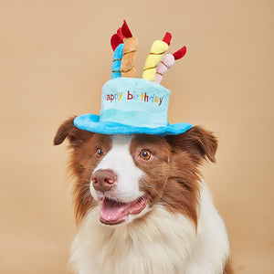 Pet Birthday Hat