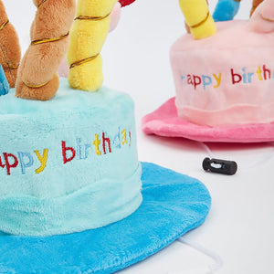 Pet Birthday Hat