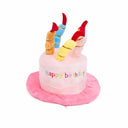 Pet Birthday Hat