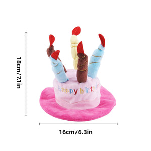 Pet Birthday Hat