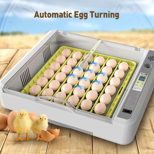 New 36 Incubator Chicken Incubator Full-automatic Hatching Equipment Incubator Rutin Chicken Incubator