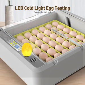 New 36 Incubator Chicken Incubator Full-automatic Hatching Equipment Incubator Rutin Chicken Incubator