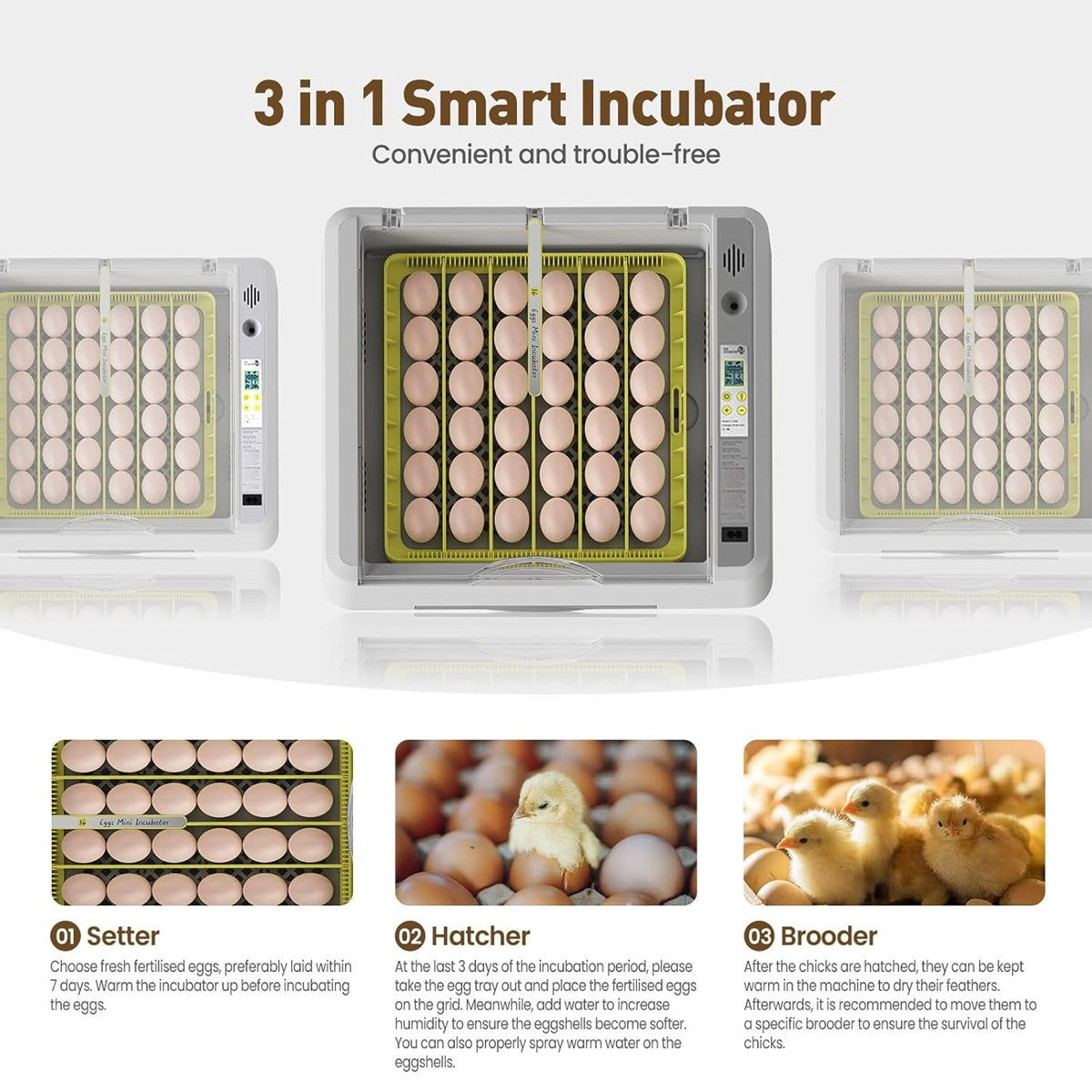 New 36 Incubator Chicken Incubator Full-automatic Hatching Equipment Incubator Rutin Chicken Incubator