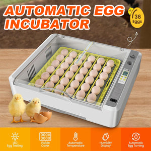 New 36 Incubator Chicken Incubator Full-automatic Hatching Equipment Incubator Rutin Chicken Incubator