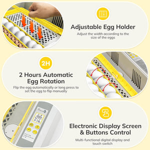 New 36 Incubator Chicken Incubator Full-automatic Hatching Equipment Incubator Rutin Chicken Incubator