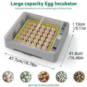 New 36 Incubator Chicken Incubator Full-automatic Hatching Equipment Incubator Rutin Chicken Incubator
