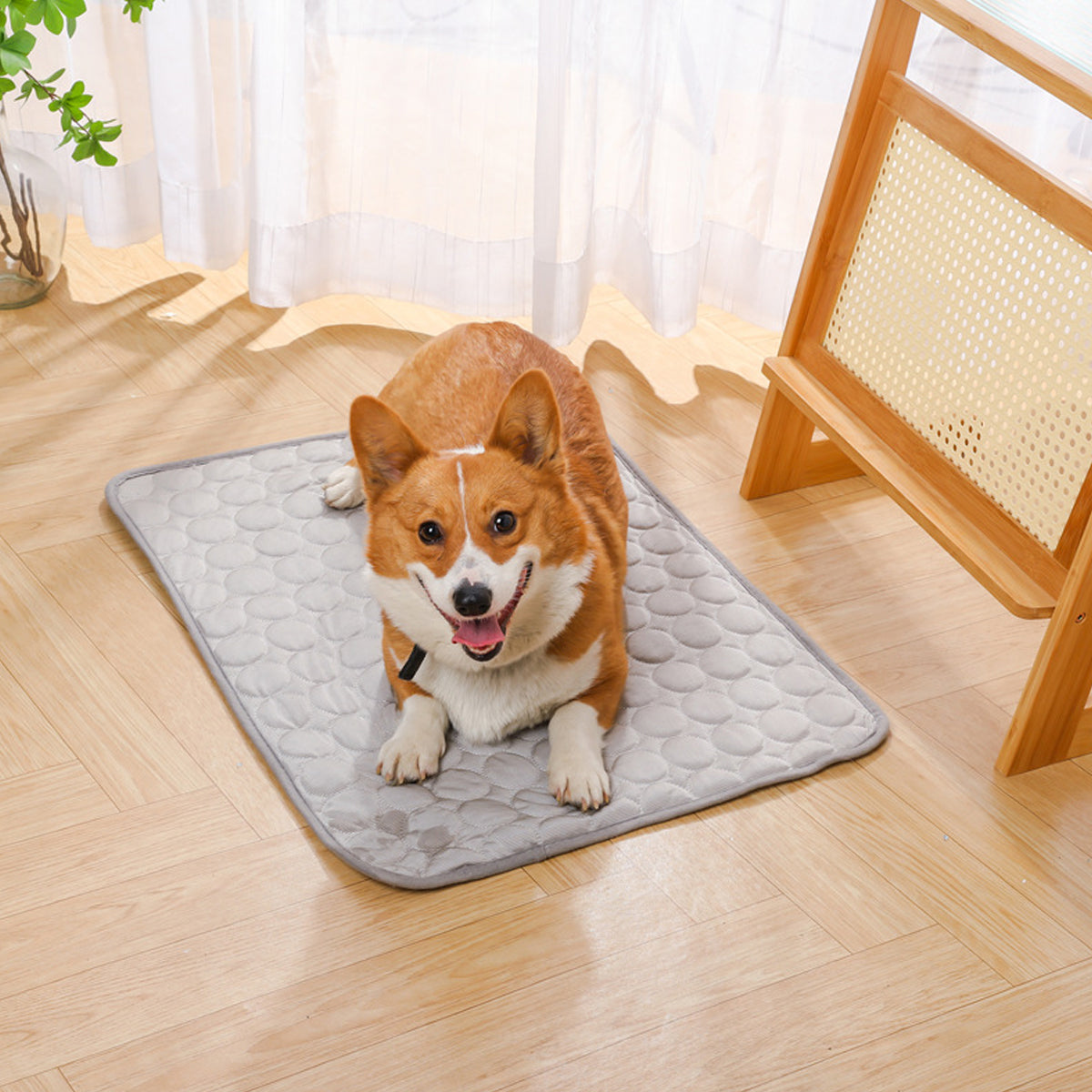 Pet Sleeping Mat for Dog and Cat Indoor Use