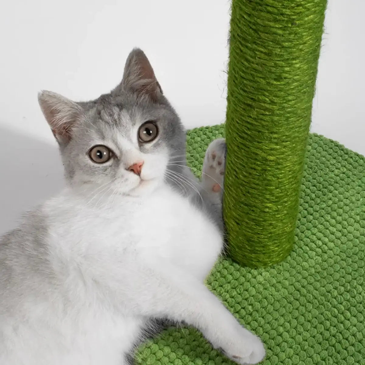 Cactus Cat Scratching Post with Sisal and Corduroy Fabric