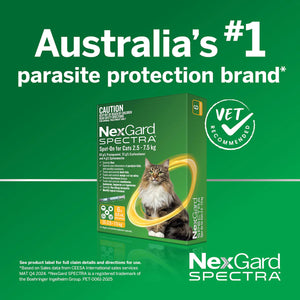 NEXGARD SPECTRA Spot On For Large Cats Yellow 3'S/6'S