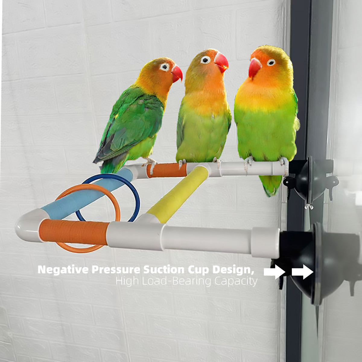 Colorful Parrot Perch With Suction Cups Window Bird Play Stand