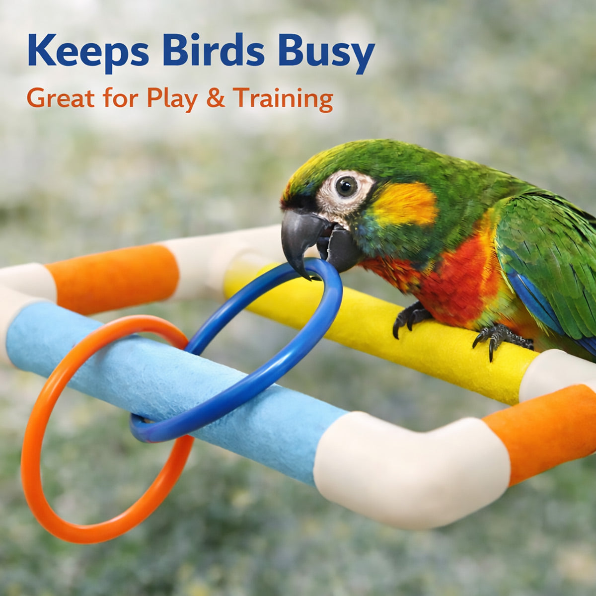 Colorful Parrot Perch With Suction Cups Window Bird Play Stand