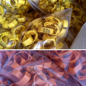 100PCS Adjustable Bird Leg Rings Numbered