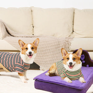 Plush Pet Bed Sofa With Removable Cushion