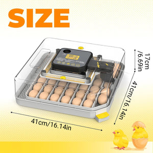 Automatic Egg Incubator 48 Eggs