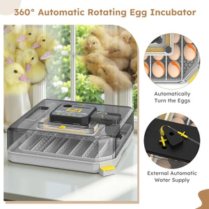 Automatic Egg Incubator 48 Eggs