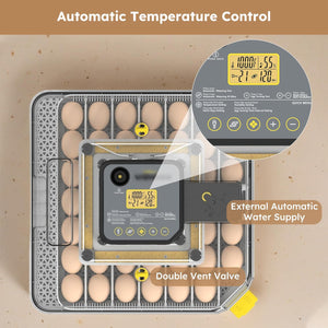 Automatic Egg Incubator 48 Eggs