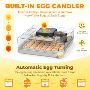 Automatic Egg Incubator 48 Eggs