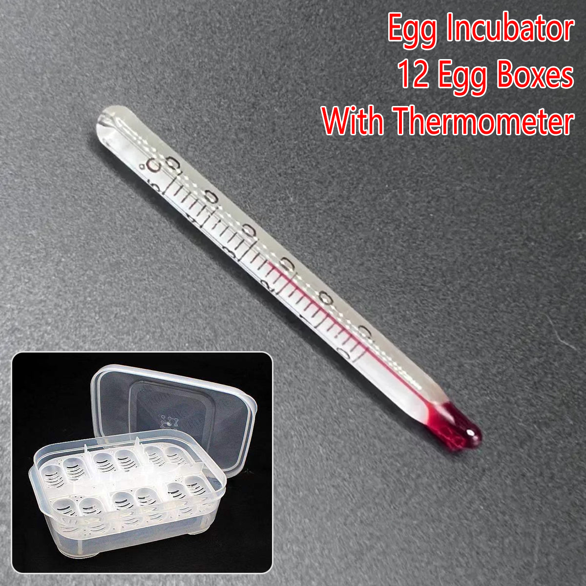 Lizard Hatching Box 12 Holes Reptile Egg Incubator
