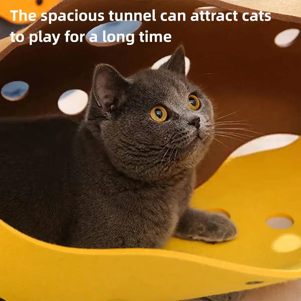 Felt Cat Tunnel Toy Indoor Play Tunnel for Cats and Kittens